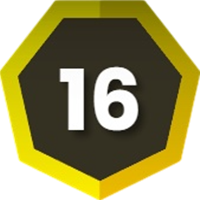 Level 16