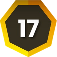 Level 17